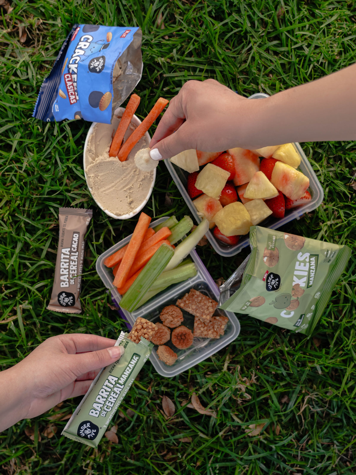Picnic al aire libre con snacks saludables Underfive: Barrita de Cereal sabor Cacao y sabor Manzana, y Cookies sabor Manzana, junto a frutas, verduras y hummus