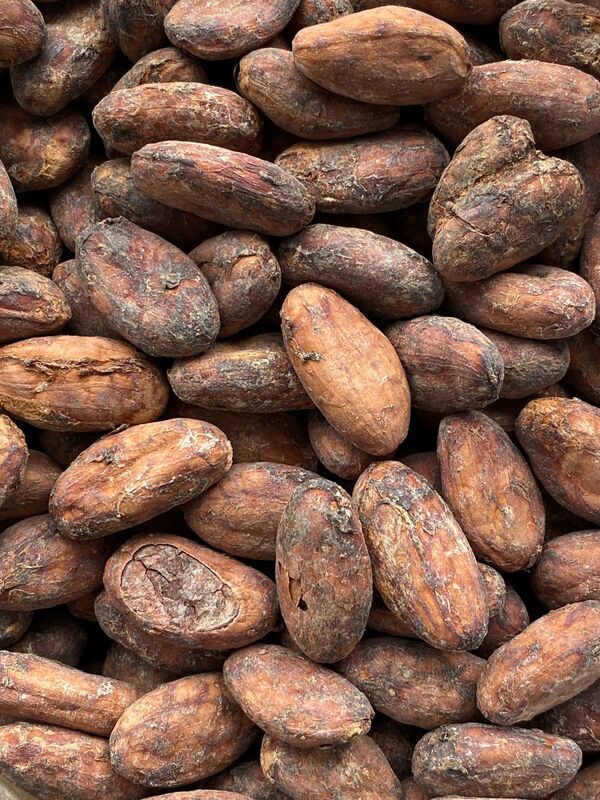 Cacao