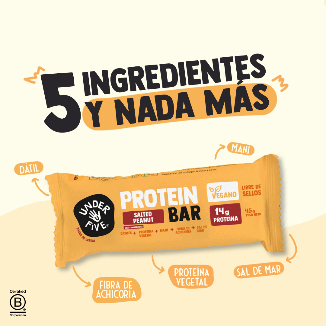 Underfive Display 12 - Protein Bar SALTED PEANUT