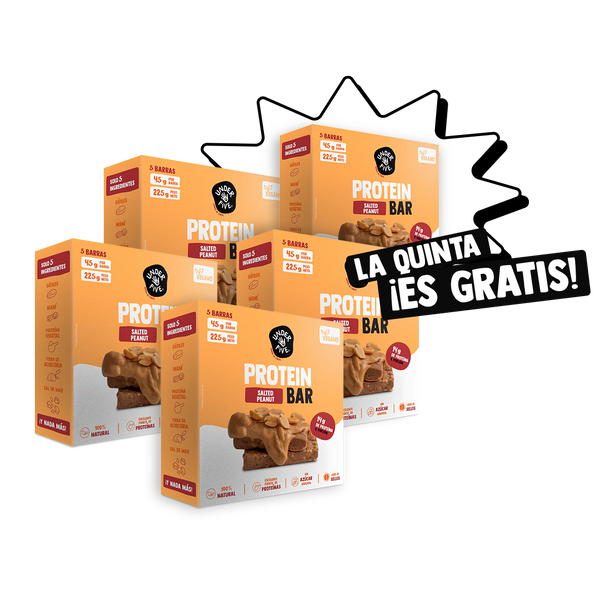 4x5 Protein Bar Salted Peanut